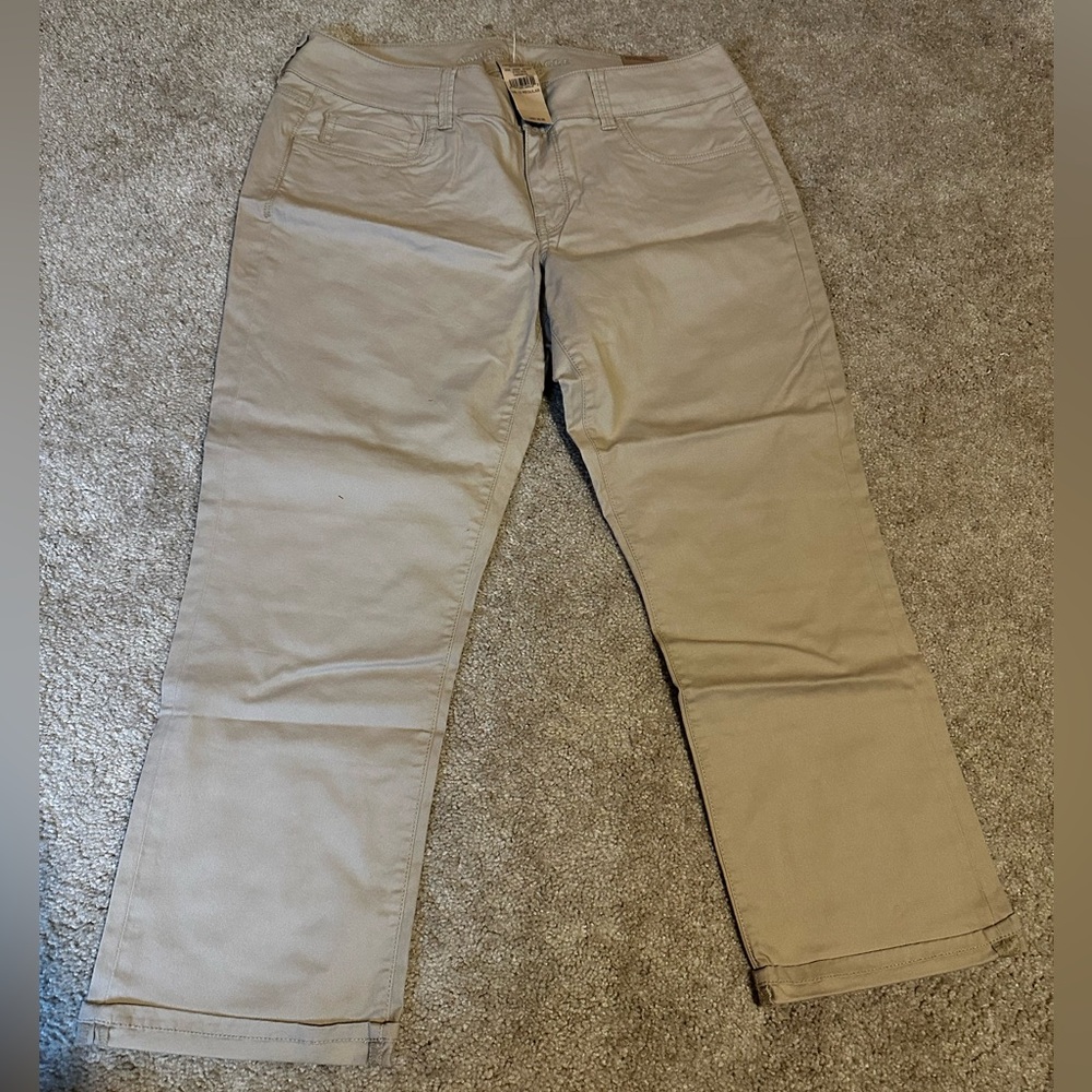 American Eagle Khaki Artist Crop